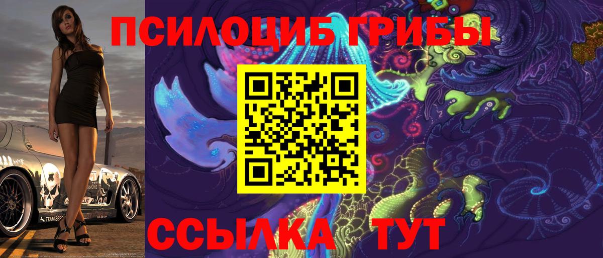 Галлюциногенные грибы Psilocybe Губкин
