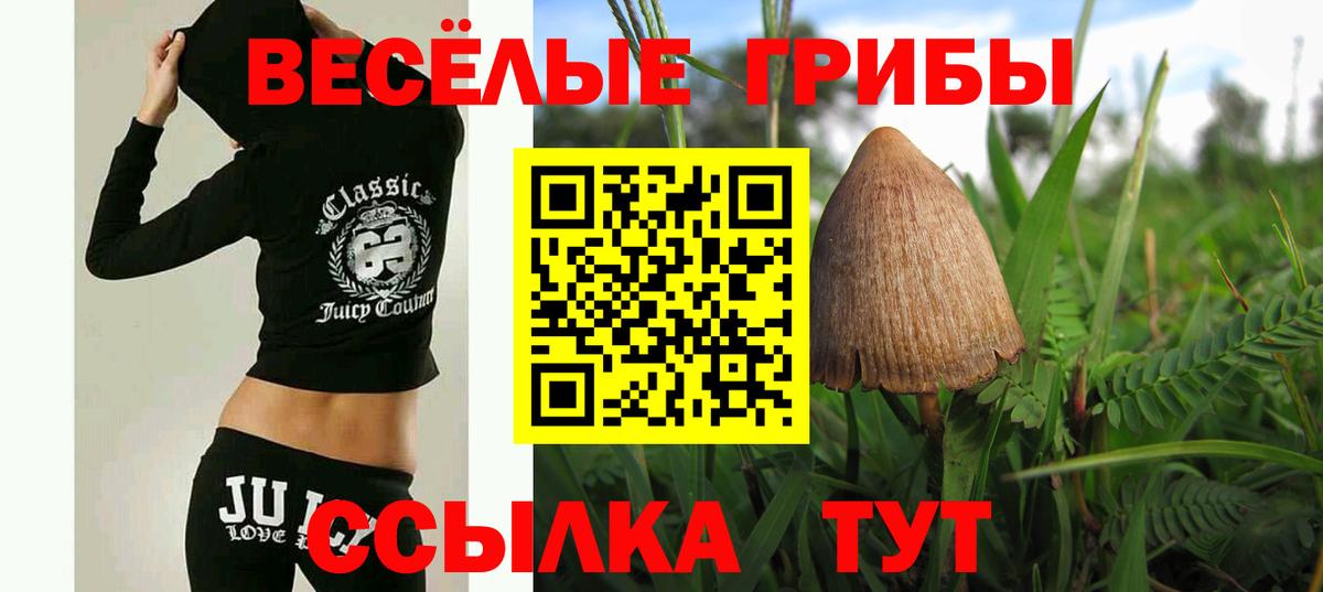 Галлюциногенные грибы мухоморы  Вход с VPN  Губкин 