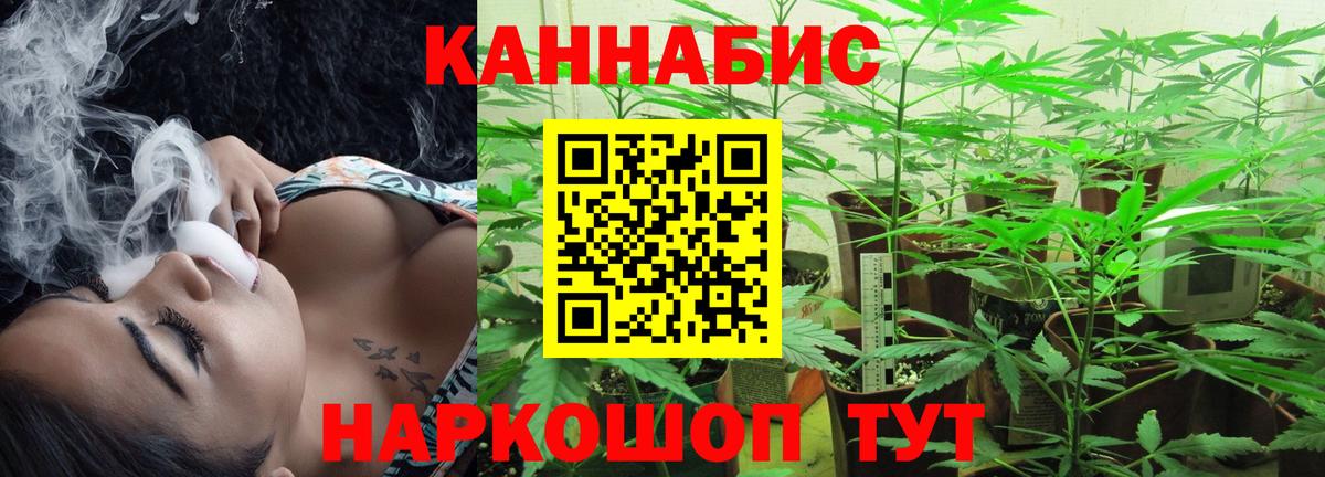 Конопля конопля  Бошки марихуана планчик  Вход с VPN  Губкин  Марихуана план  МАРИХУАНА Ganja 
